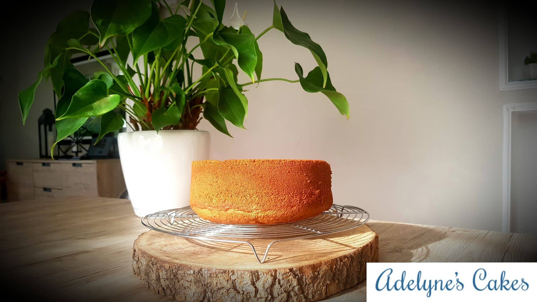 Génoise Molly cake - Adelyne's Cakes
